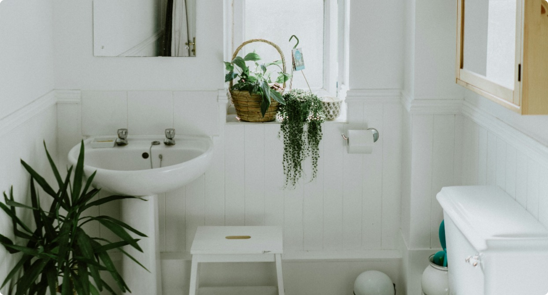 Greening Your Bathroom: 10 Eco-Friendly Solutions for a Sustainable Oasis