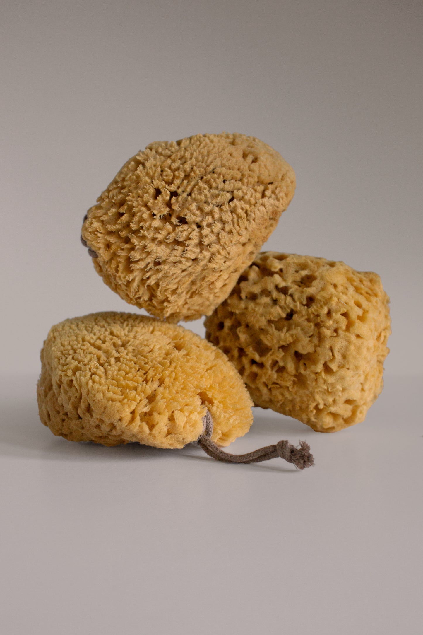 Three natural sea sponges, varying in size and shape, with intricate, porous surfaces, arranged on a light-colored background.